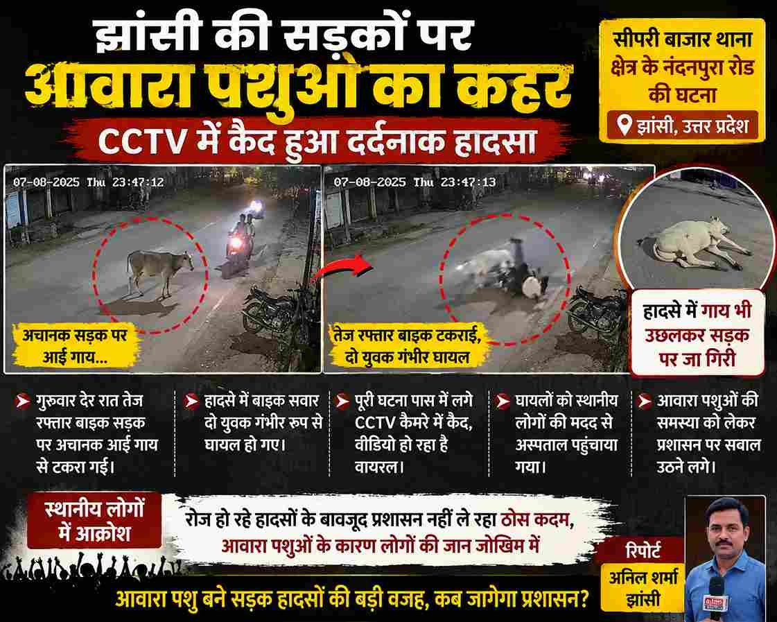 झांसी में आवारा पशुओं का कहर, गाय से टकराई बाइक; 2 युवक घायल
